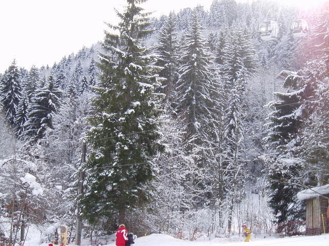 LaClusaz2006 039.JPG