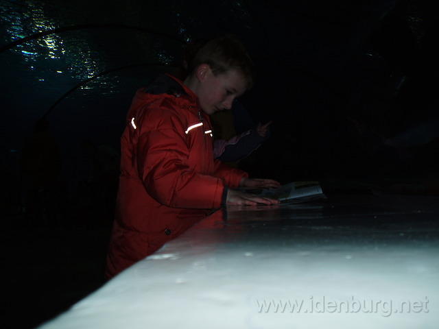 Pasen2006 012.jpg