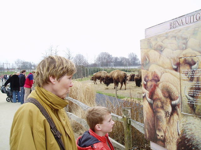 Pasen2006 019.jpg