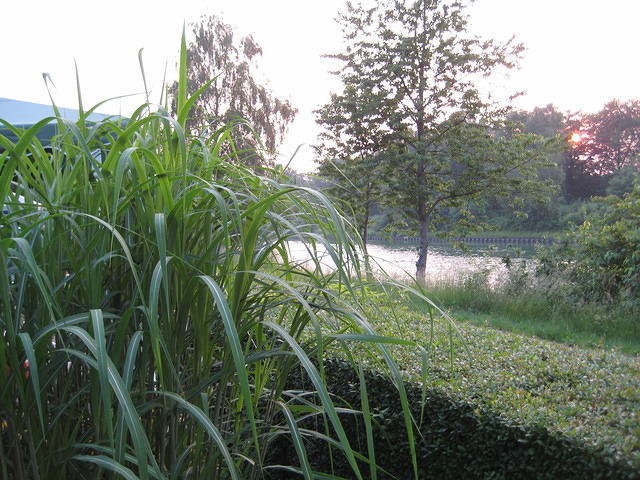 Schermbeck, aan het Wesel-Datteln kanaal
