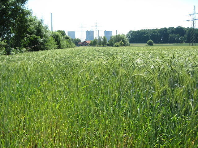 Hamm, 't is wel het Ruhrgebied natuurlijk