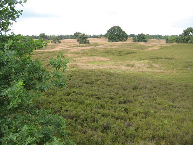 Haltern am See, en deze heide mag er ook zijn