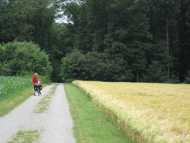 Moet ie nou weer een foto maken?