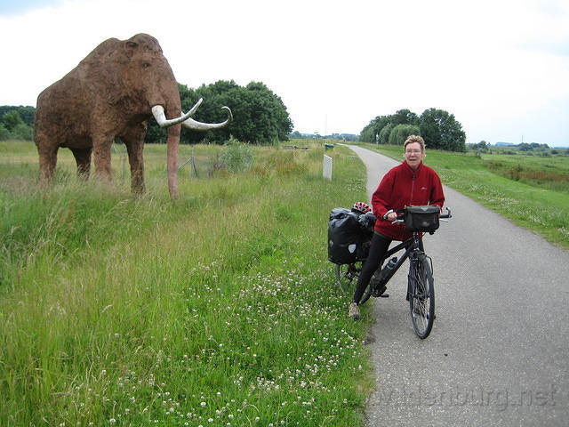 Mammoet bij de Betuwelijn aan het Pannerden's Kanaal