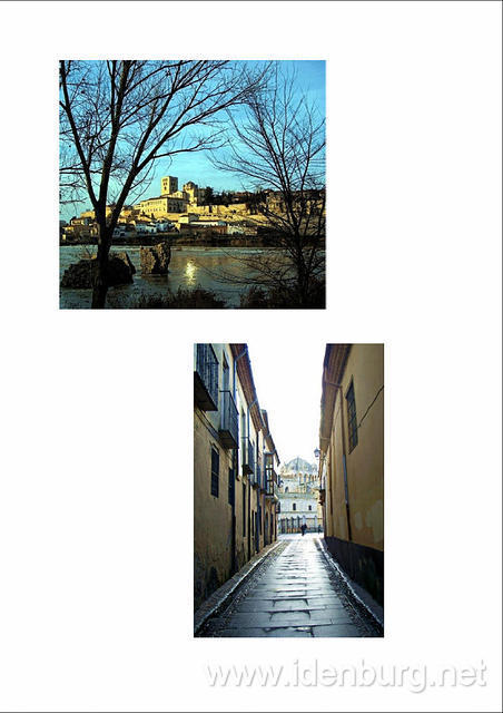 Zamora
