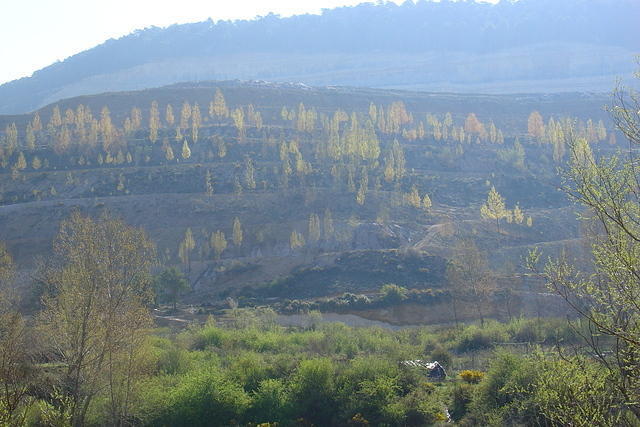 Spanje2004 085
's Ochtends op weg naar Beteta
