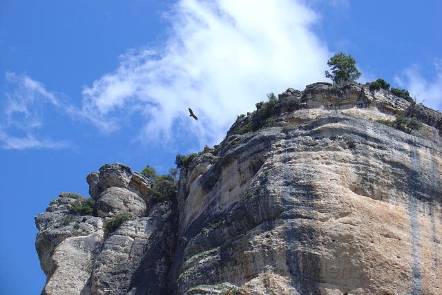 Spanje2004 090
En nog een!
