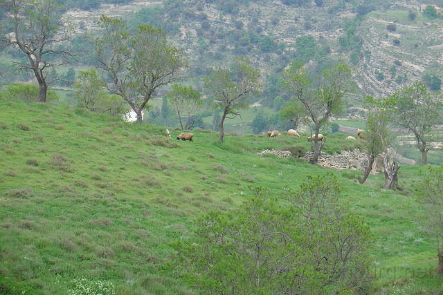Spanje2004 103
Morella, uitzicht van uit de kamer van de Bazens nog steeds 's avonds