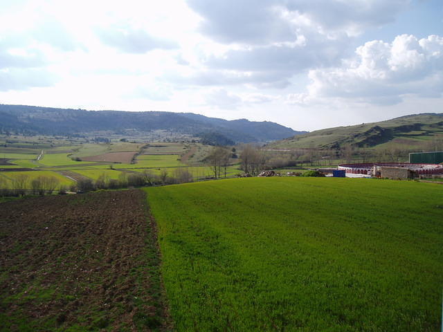 Spanje2004 041
Orea, uitzicht vanuit het hotel, rechts de arena voor het stierenvechten.
