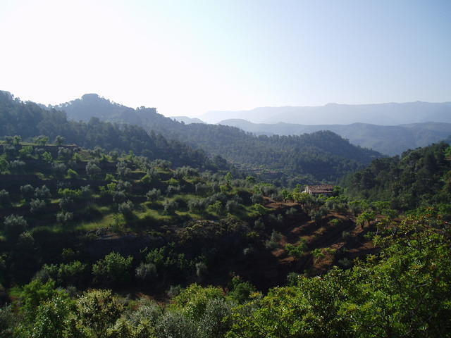Spanje2004 019
Op weg naar Poblet, schaduwen in de ochtendzon