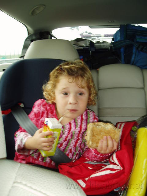 Demi op weg naar Texel