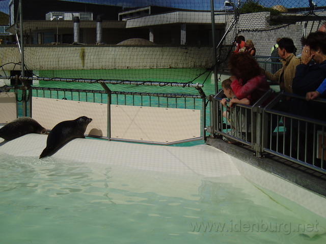 Hee Tante Ineke, haal die ....