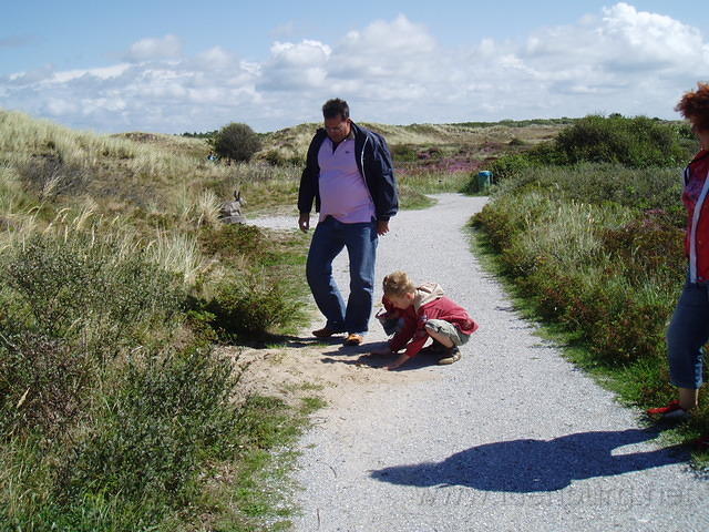 't Lijkt wel een vossenhol