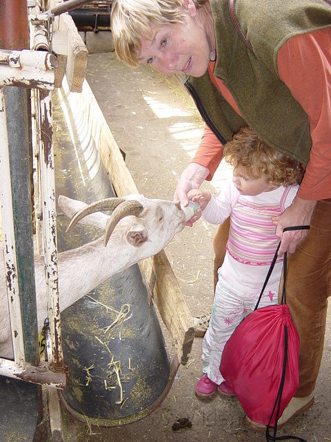 Melk geven