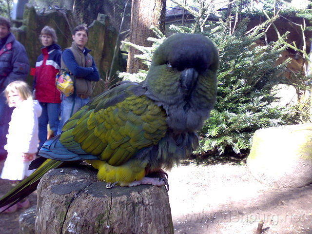 DpAmersfoort002.jpg