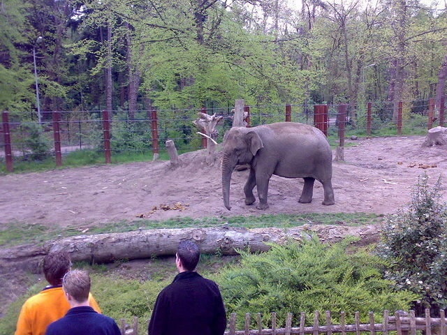 DpAmersfoort047.jpg