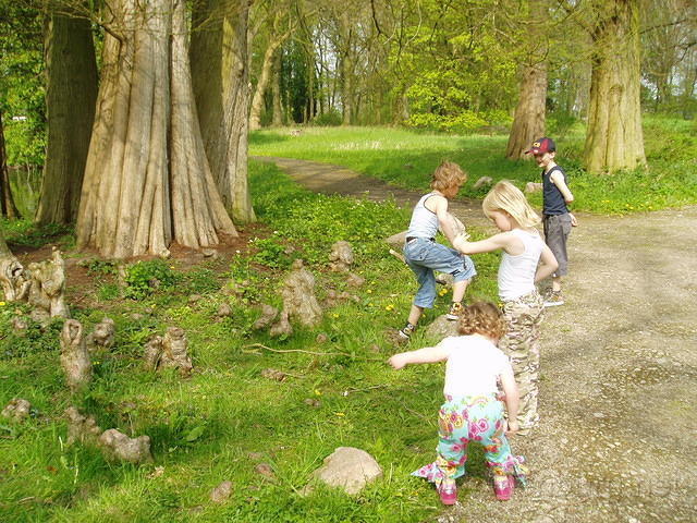 Kabouter bomen