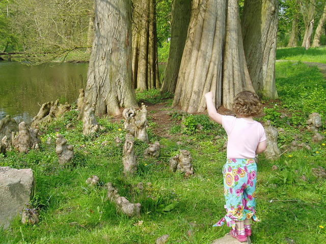 Kunnen ze ook zingen (net als de paddestoelen in de Efteling)