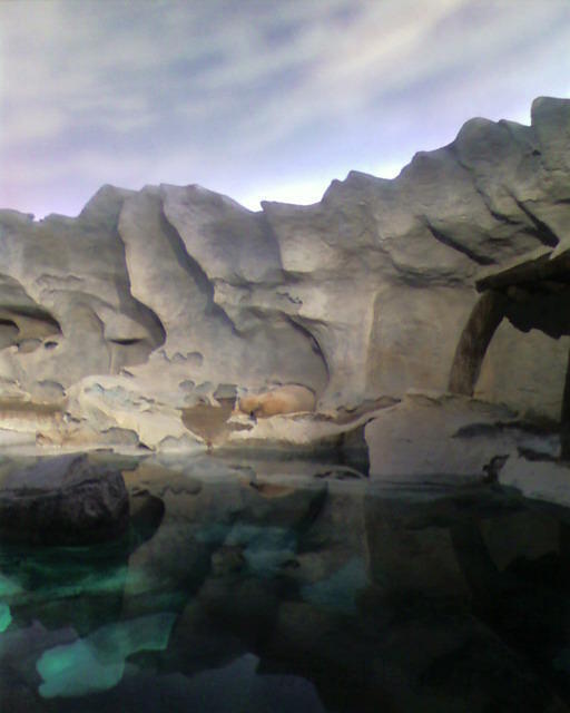 SP_A0070.jpg