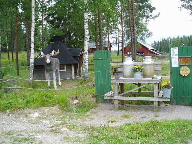 Hedesunda - P7070002.JPG