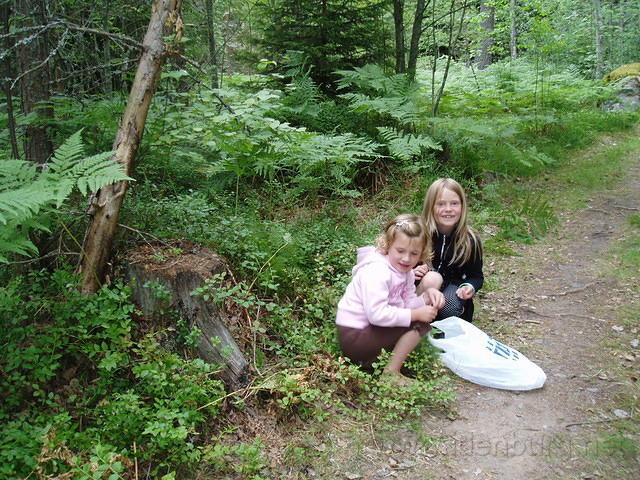 Hedesunda - P7090015.JPG