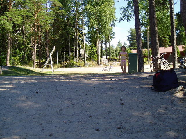 Hedesunda - P7100024.JPG
