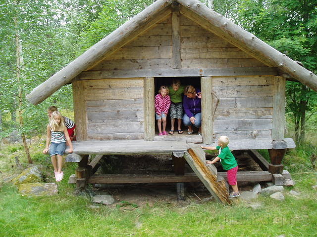 Hedesunda - P7110031.JPG