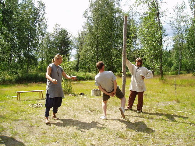 Hedesunda - P7110046.JPG
