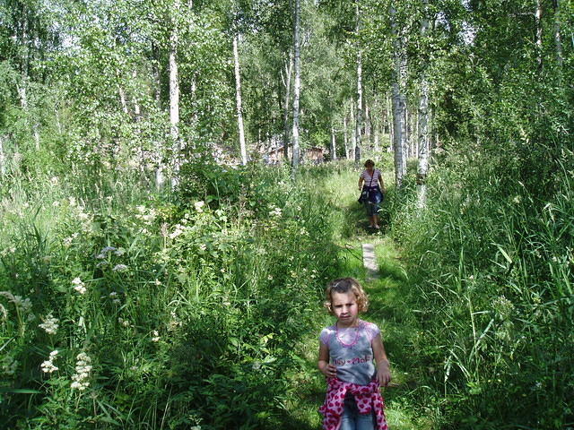 Hedesunda - P7110051.JPG