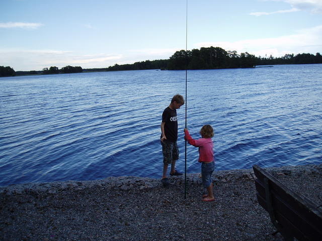 Hedesunda - P7120061.JPG