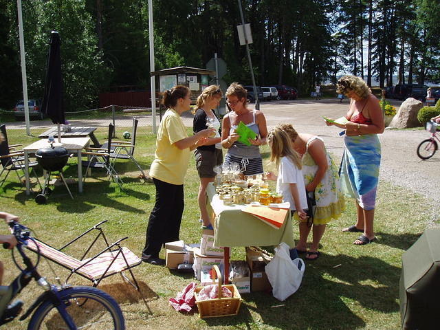 Hedesunda - P7150114.JPG