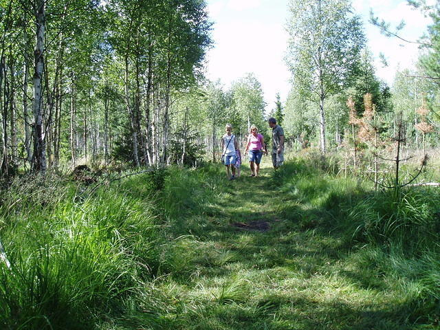 Hedesunda - P7160143.JPG