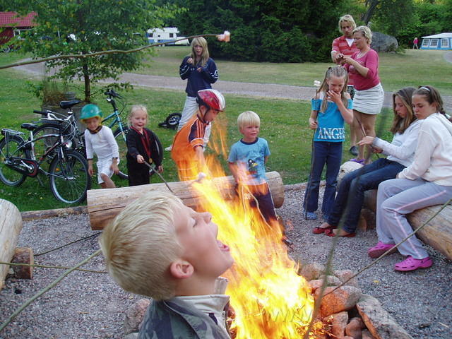 Hedesunda - P7160152.JPG