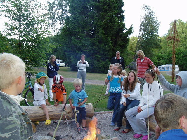 Hedesunda - P7160153.JPG