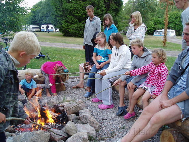 Hedesunda - P7160156.JPG