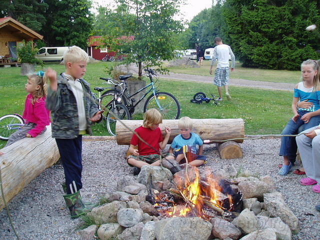 Hedesunda - P7160157.JPG