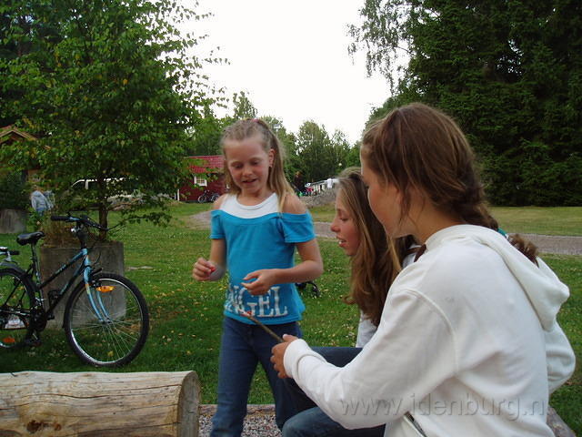 Hedesunda - P7160160.JPG