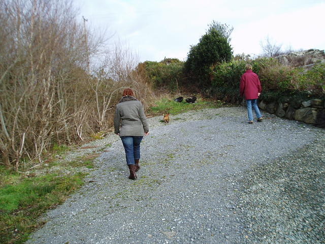 Ierland 20070223_171648 017.jpg