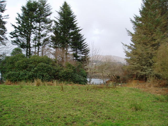 Ierland 20070223_172730 023.jpg