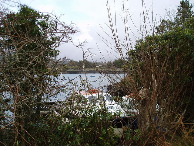 Ierland 20070223_173710 029.jpg
