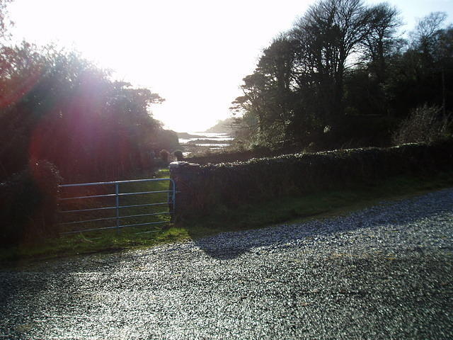 Ierland 20070224_182823 044.jpg