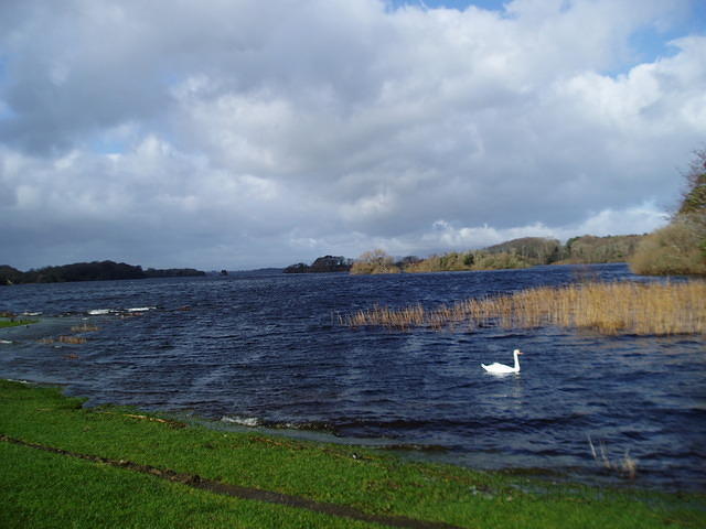 Ierland 20070225_132710 107.jpg