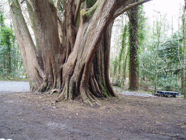 Ierland 20070226_131742 118.jpg