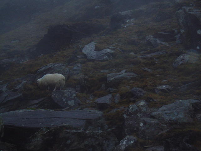 Ierland 20070226_180738 124.jpg