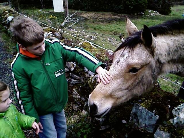 Ierland 20070228_145007 004.jpg