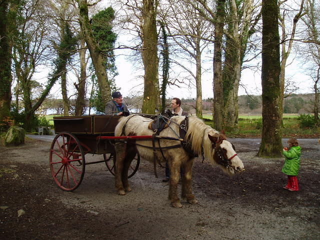 Ierland 20070301_133427 133.jpg
