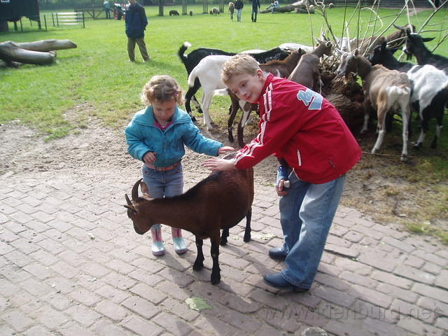 PA130030.JPG