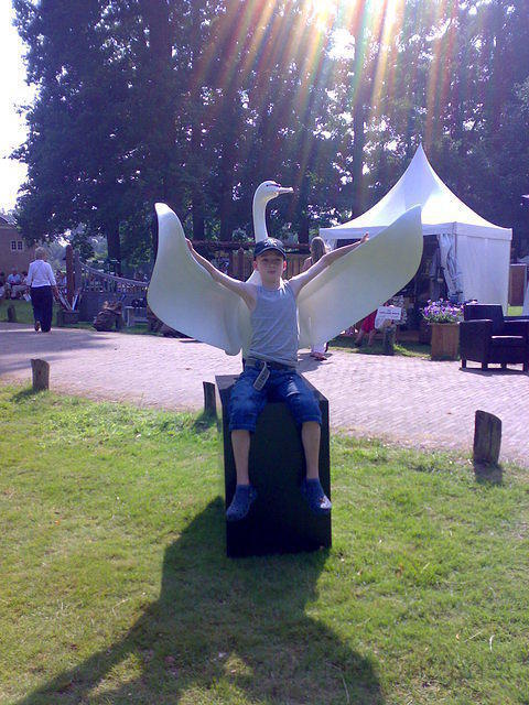 07062008089.jpg