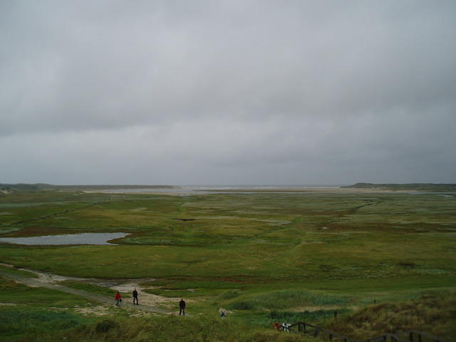 P8310015x.jpg