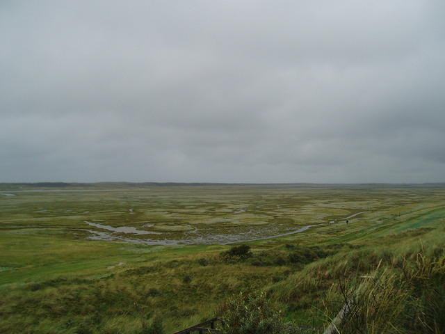 P8310016x.jpg